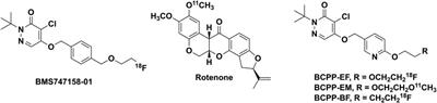 Automated Synthesis of 18F-BCPP-EF {2-tert-Butyl-4-Chloro-5-{6-[2-(2[18F]fluoroethoxy)-Ethoxy]-Pyridin-3-ylmethoxy}-2H-Pyridazin-3-One for Imaging of Mitochondrial Complex 1 in Parkinson’s Disease